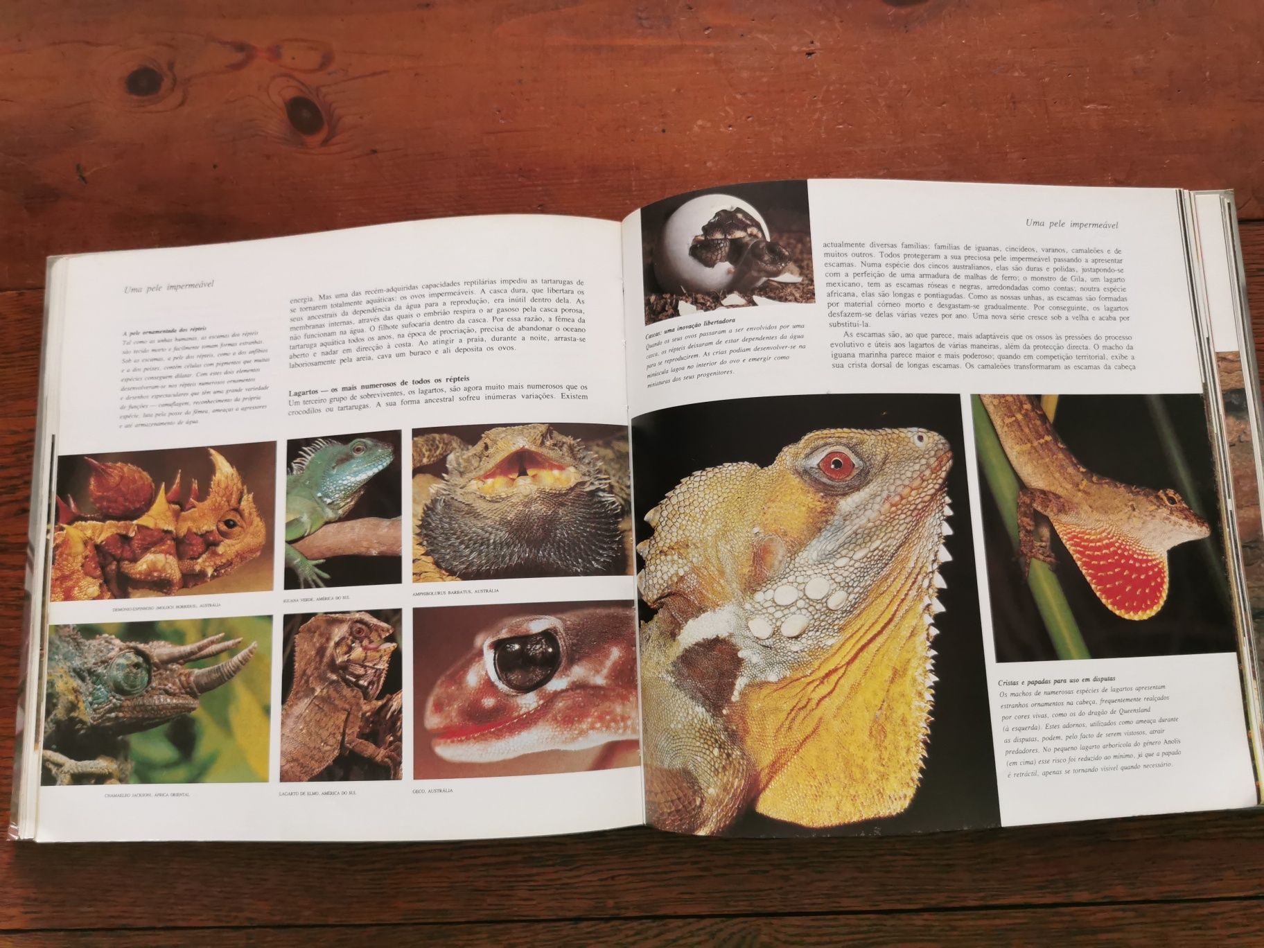 A Vida na Terra - David Attenborough (Selecções do Readers Digest)