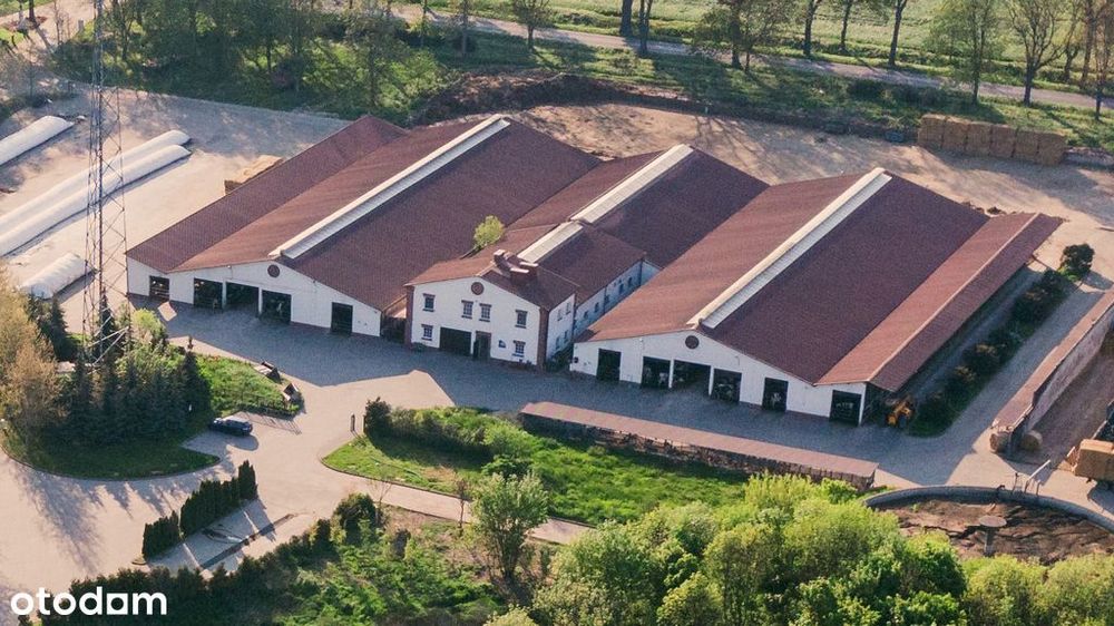 Kompleks hal w dogodnej lokalizacji