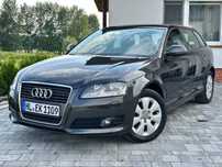 Audi A3 1.6 MPI 102KM*LIFT*Tempomat*PDC*Navi*Mega Stan*Serwis*Bezwypadkowa