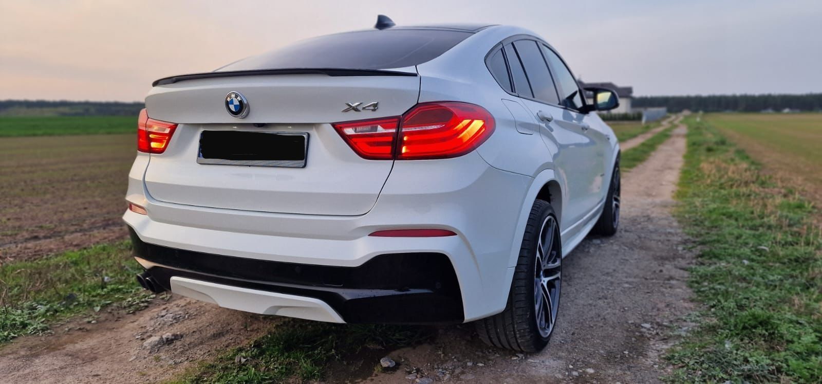 BMW X4 F26 2.0 226km  2017r Zarejestrowany