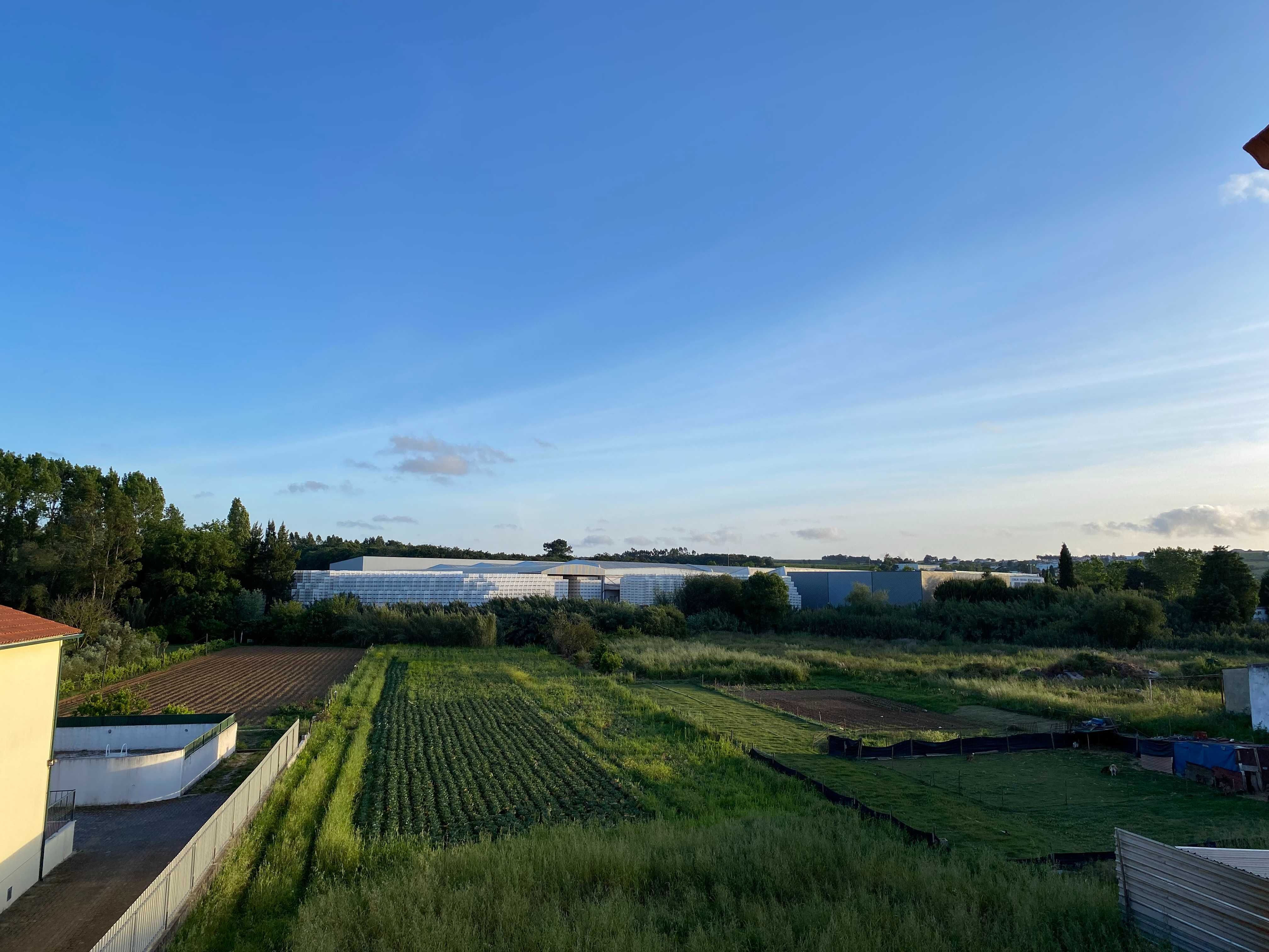 Apartamentos T2 Renovados para Venda | Alcobaça