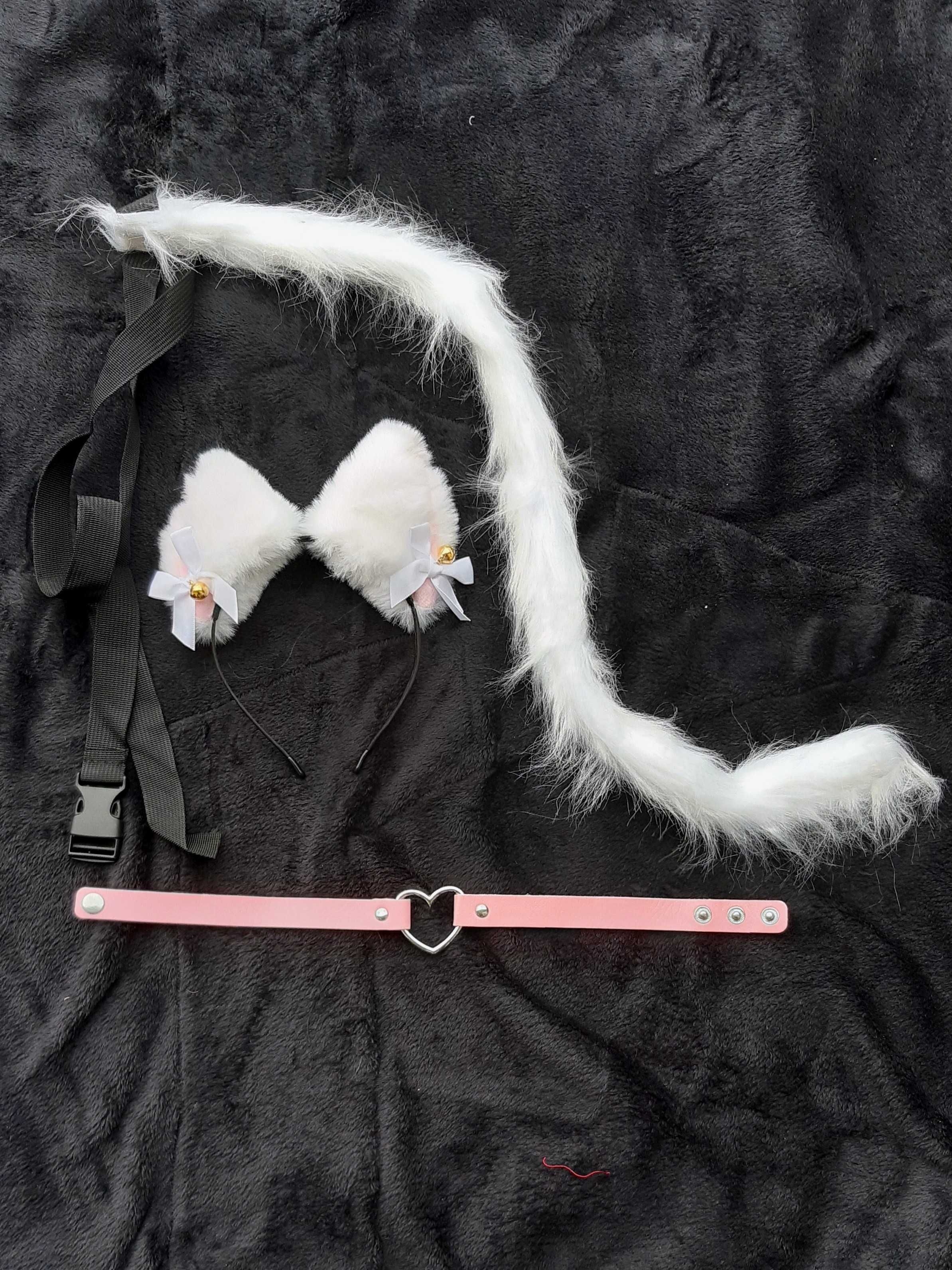 Kostium kota furry therian cosplay kocie uszy ogon obroża kot