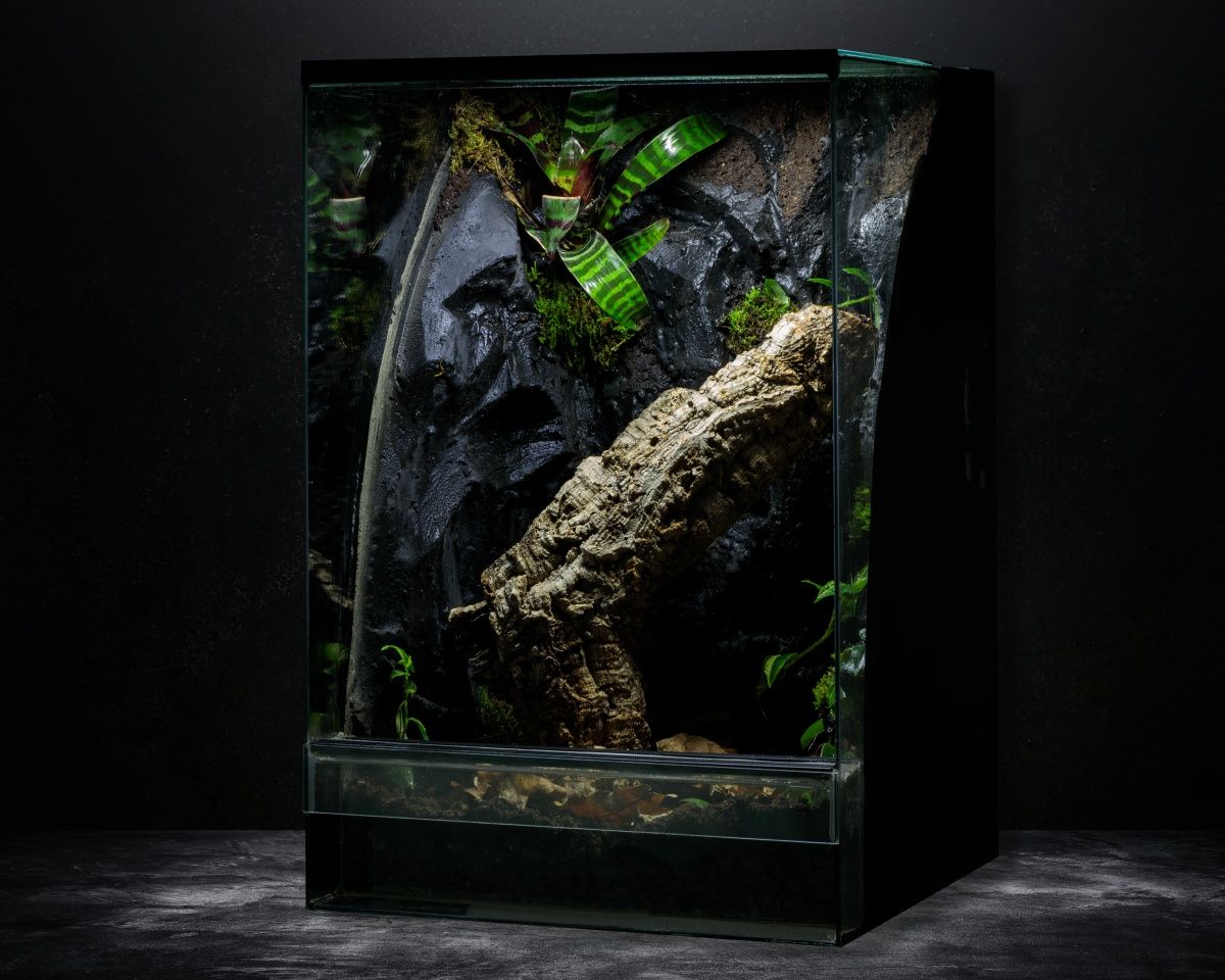 Terrarium tropikalne paludarium gekon 40x40x60