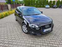 Audi A3 8P 1.6 TDI