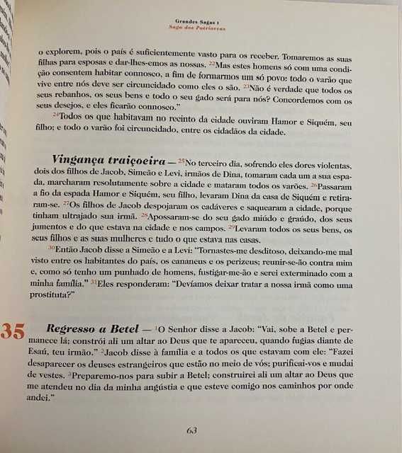 Enciclopédia Bíblia para crianças - 12 volumes (Nova)