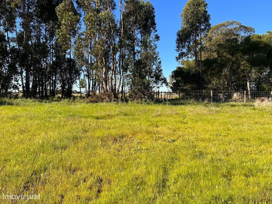 Terreno Rústico - Baldio em Malpica do Tejo