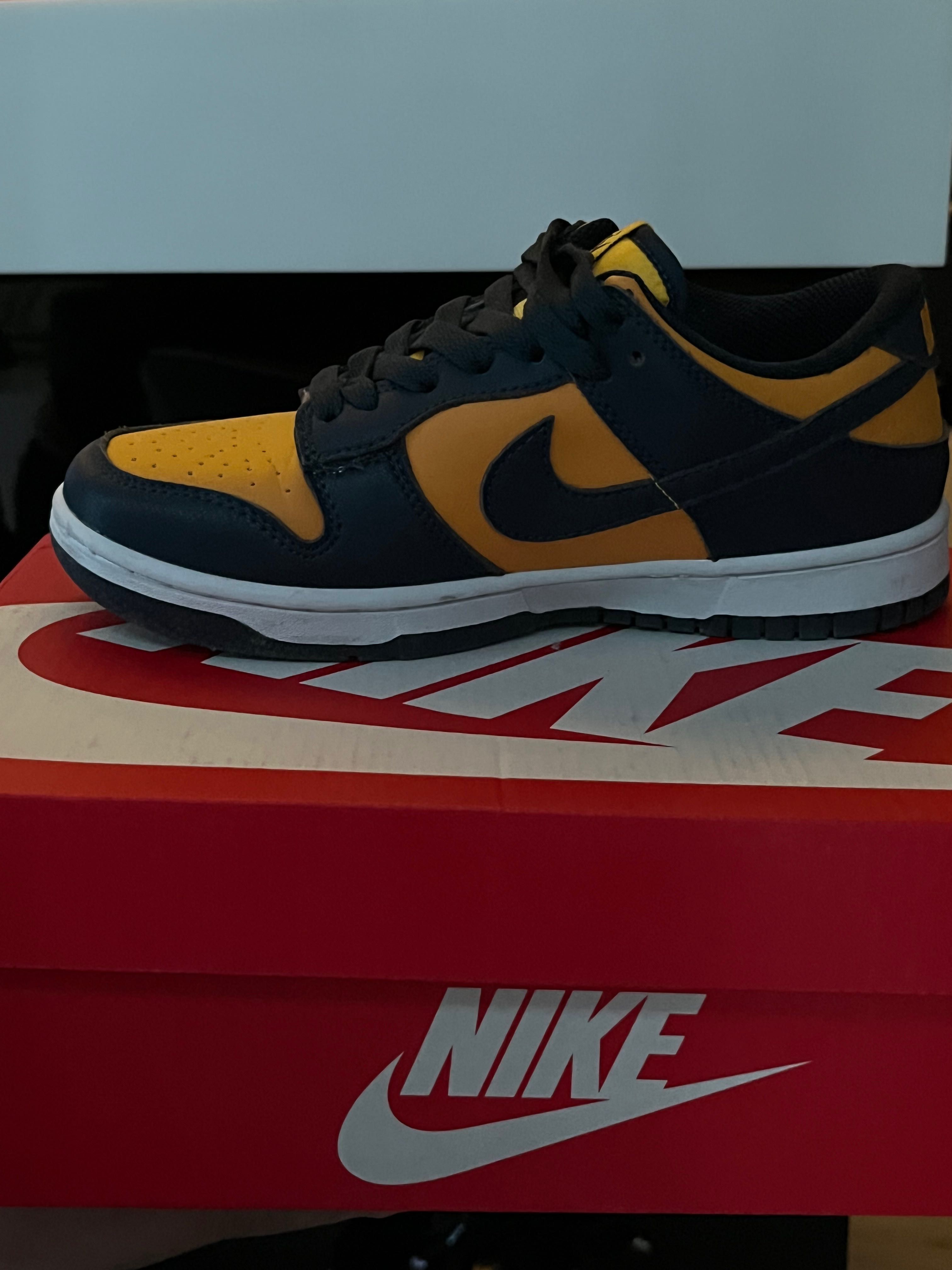 Nike dunk low michigian