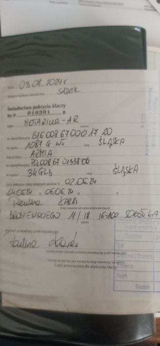 Klacz Śląska ze źrebówka PILNE
