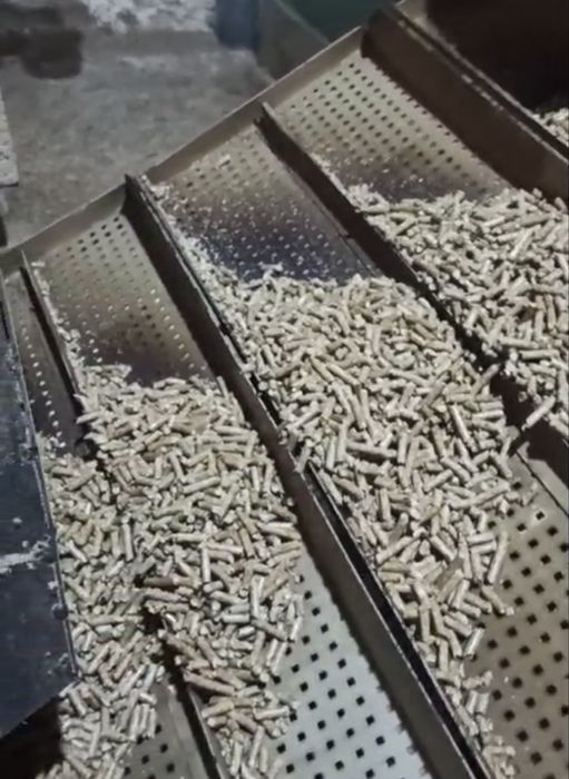 Пелета у біг бег сосна