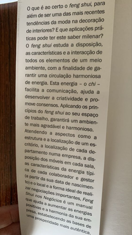 Livro Feng Shui nos negócios