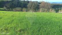 Terreno  para venda