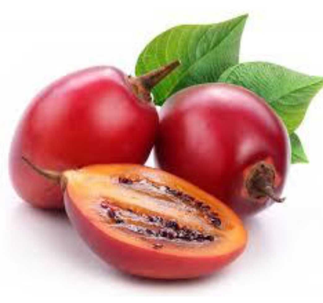 Саджанці тамарілло (томатне дерево)