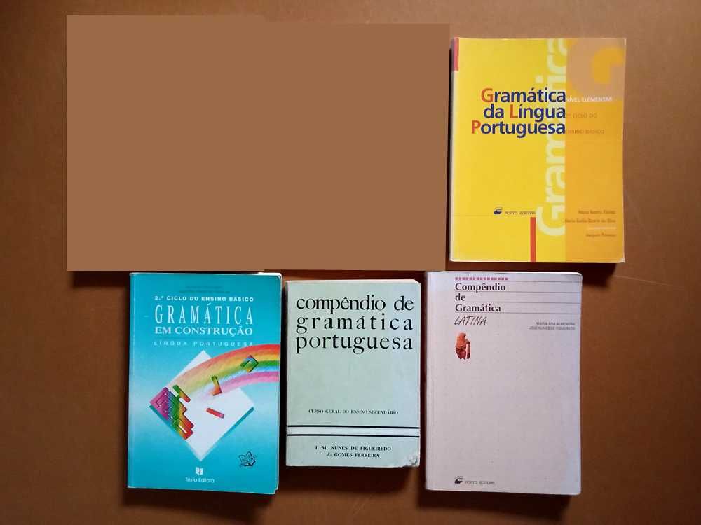 Gramáticas e Compêndios De Português