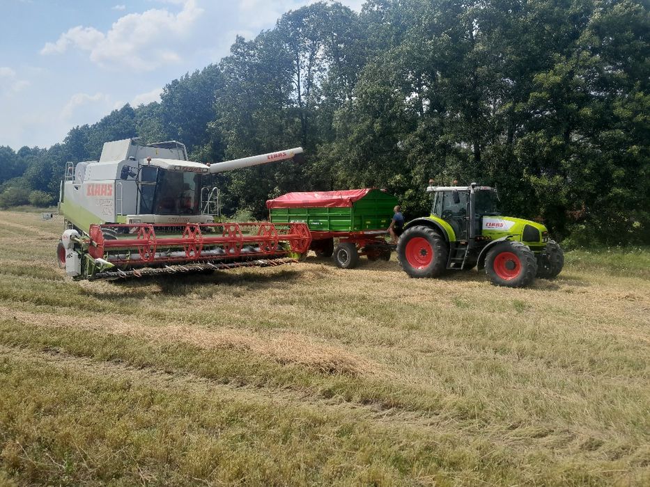 Usługi rolnicze Koszenie omlot zbiór zboża rzepaku kukurydzy słoneczni