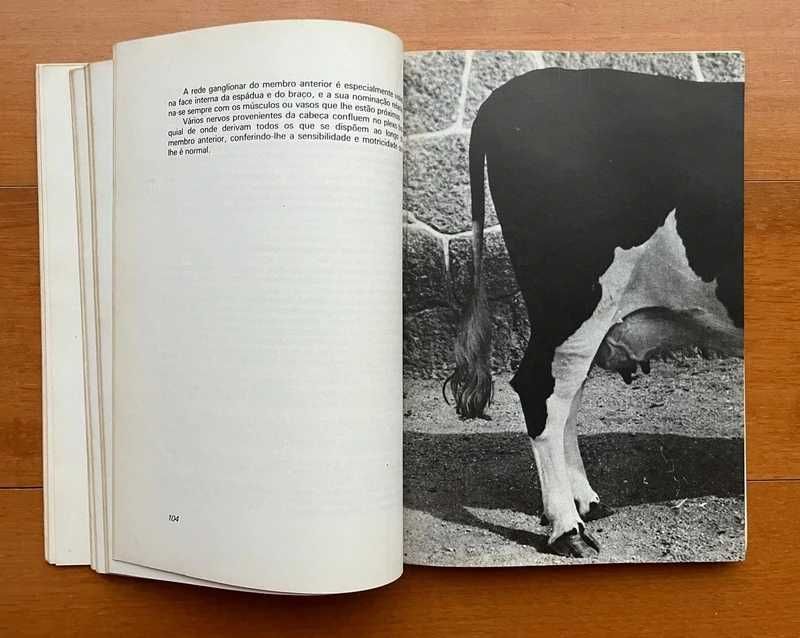 Anatomia Fisiologia e Exterior dos Animais Domésticos