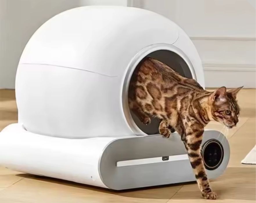 Caixa de areia automática para gatos