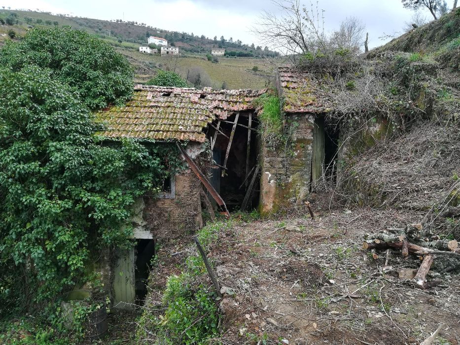 Quinta Régua / Lamego - Confronta com Rio (Ribeira do Neto)