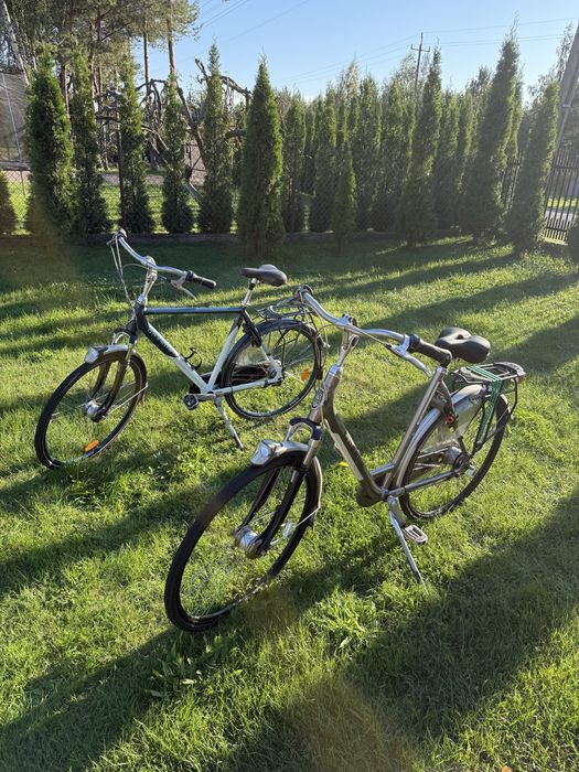 Rower Gazelle Monteux LTD