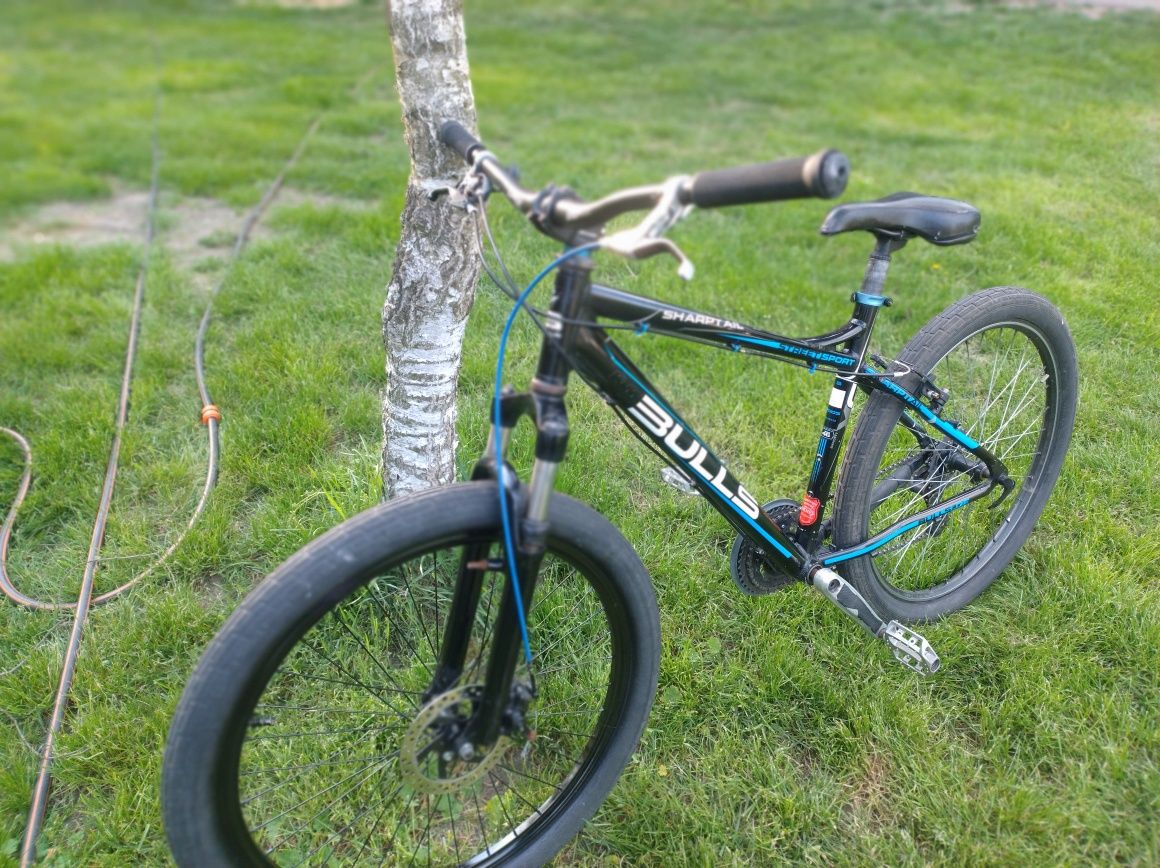 Rower bulls shamptail xc