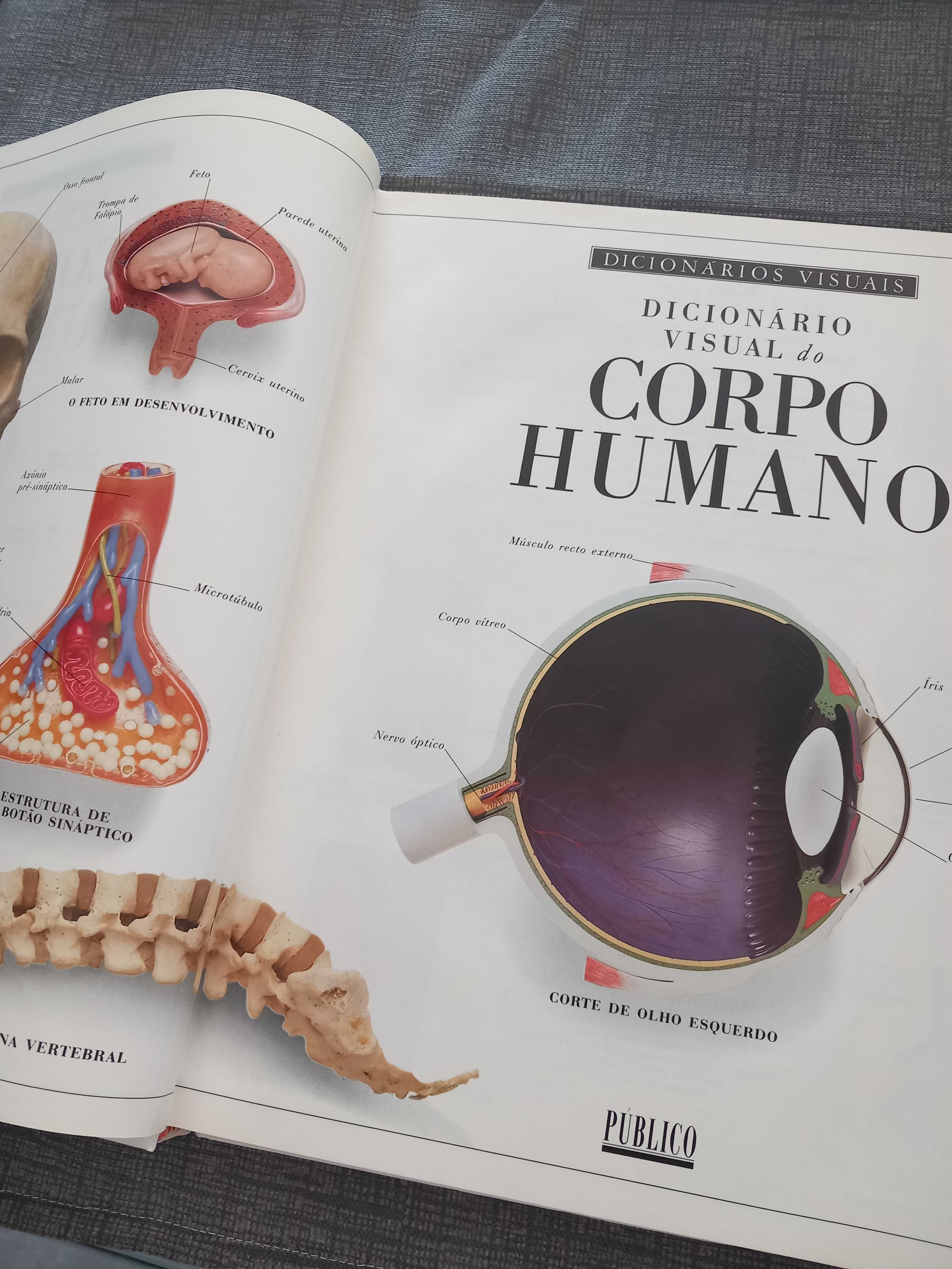 Livro de colecção,  Dicionario Visual.
