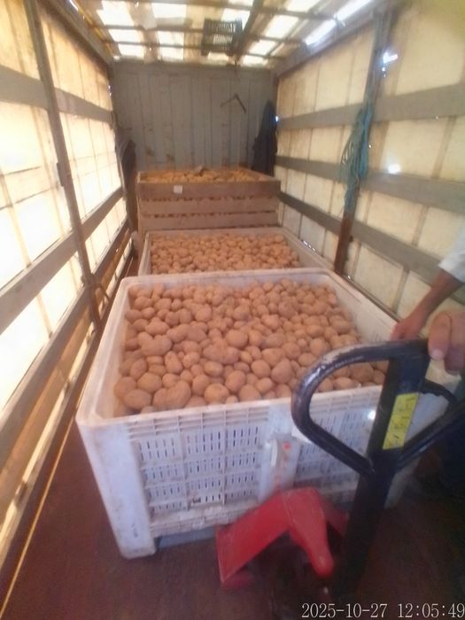 Batatas Picasso (Olho de Perdiz)