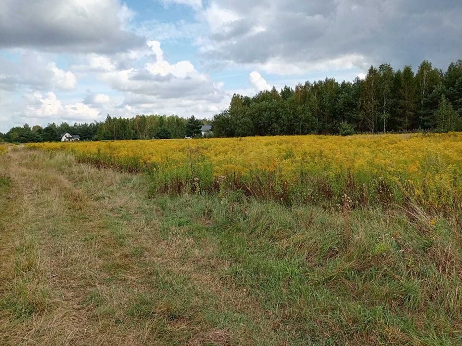 Sprzedam działki budowlane