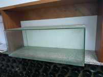 Aquarios peixeiras