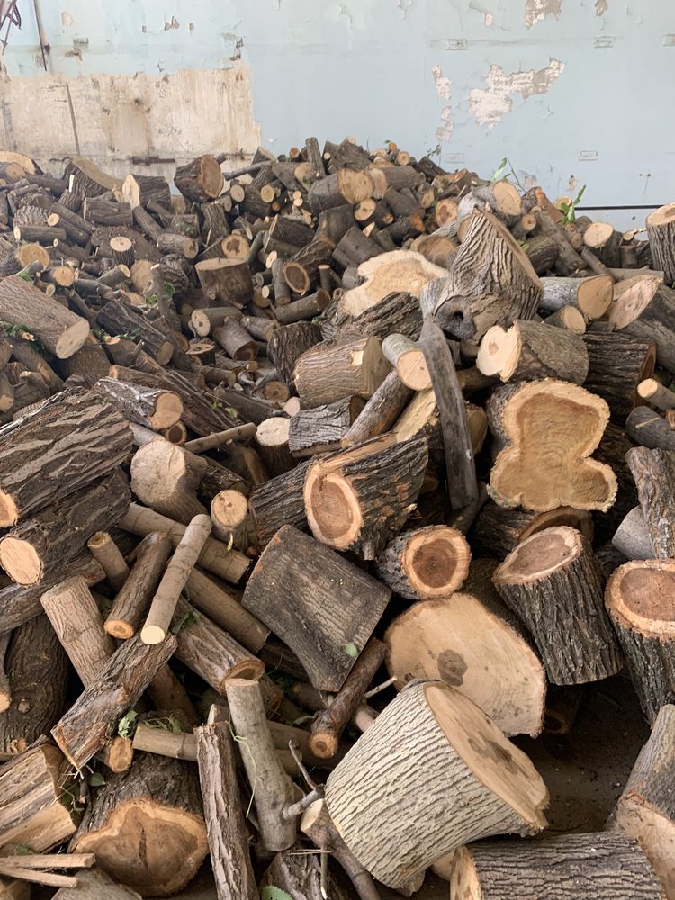 Продам дрова твердых пород 1000грн куб
