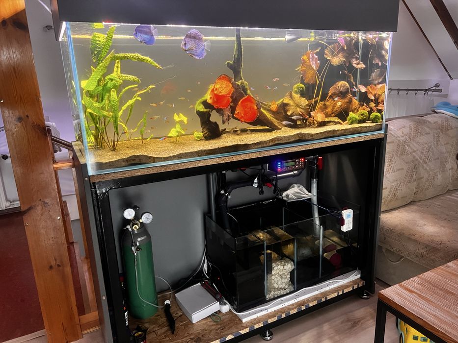 Akwarium 140x50x50+ sump CAŁY ZESTAW