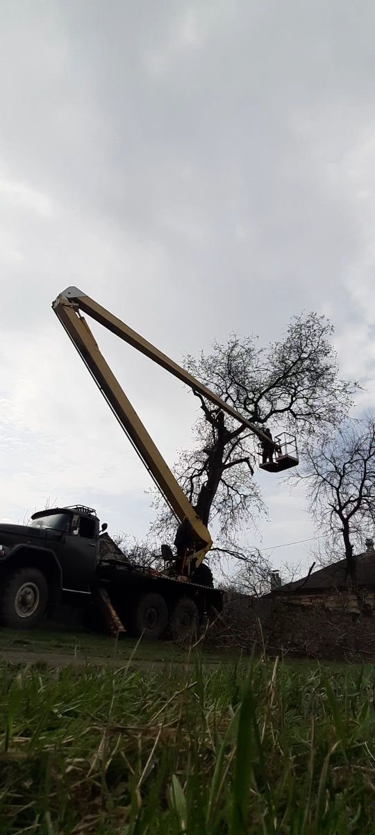 Спил Аварийных деревьев