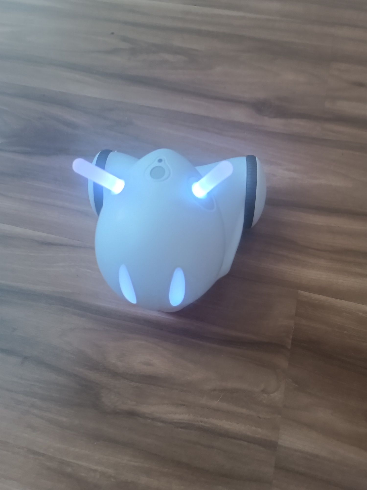Robot edukacyjny photon
