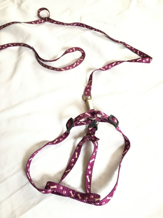 Szelki , smycz dla szczeniaka, małego pieska, 112 cm