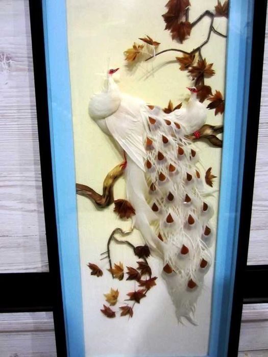 Винтажная рамка-витрина из настоящего павлиньего пера Перламутр