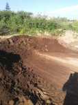 Terra preta para jardim
