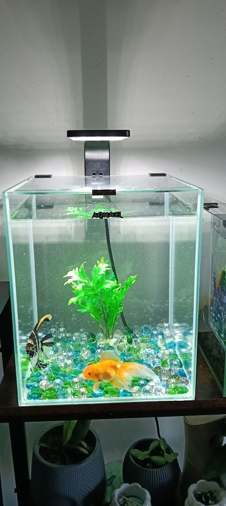 Sprzedam akwarium Aquael 20 l