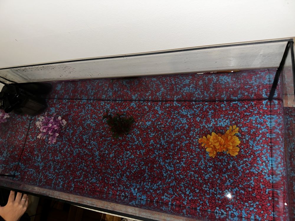 Acessorios de aquario