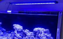 Lampa LED Aqua Medic Aquarius 90 plus