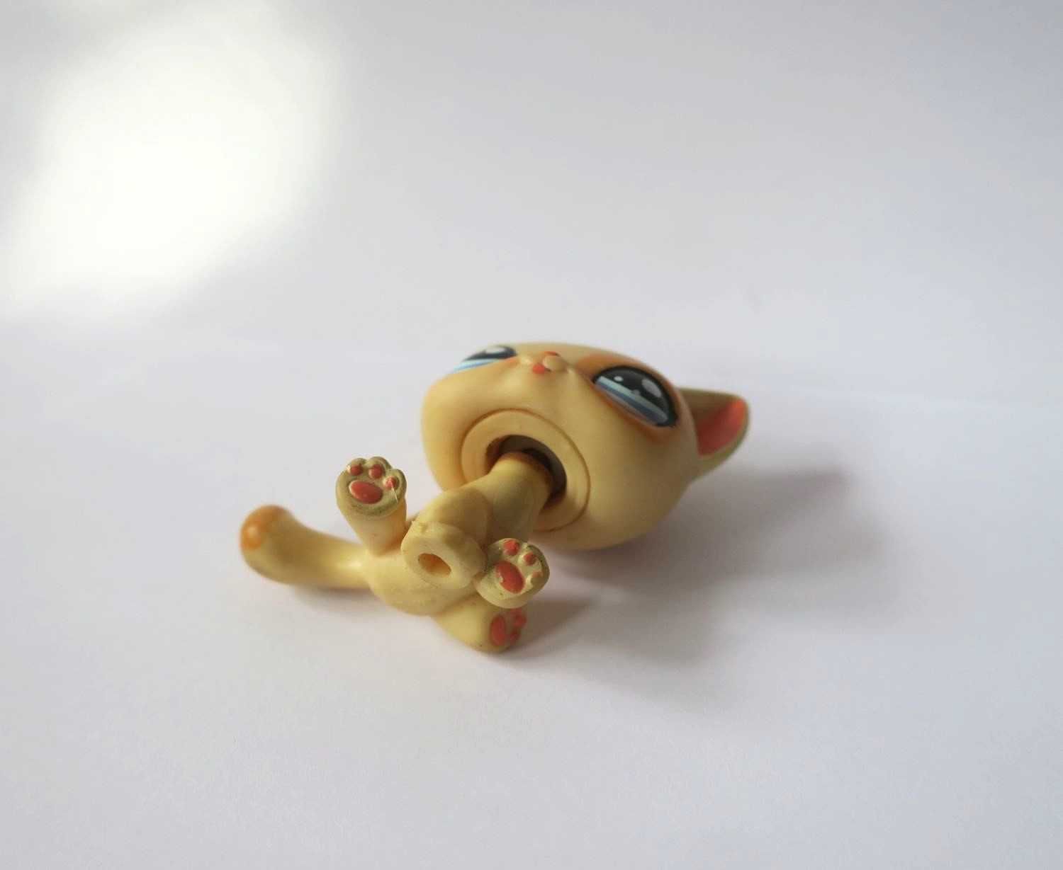 Kot kotek littlest pet shop