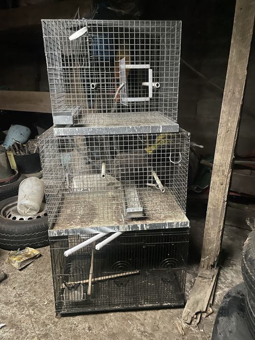 Gaiolas troco por galinhas frangos etc