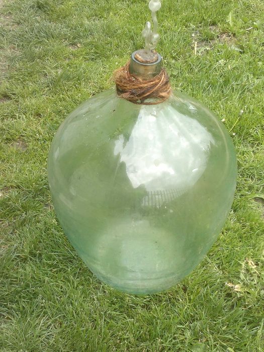 Gąsior,balon na wino