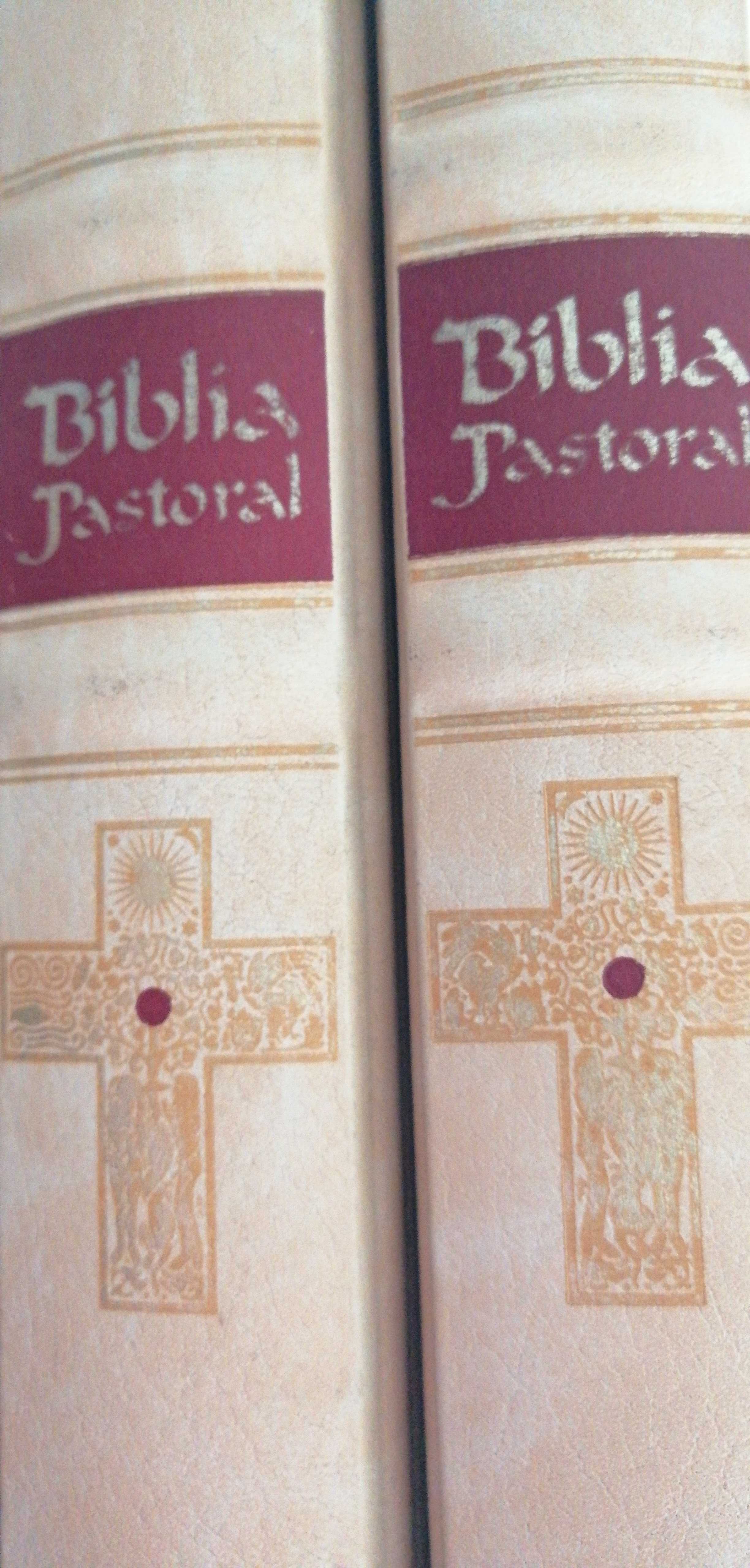 Bíblia Pastoral 2 volumes