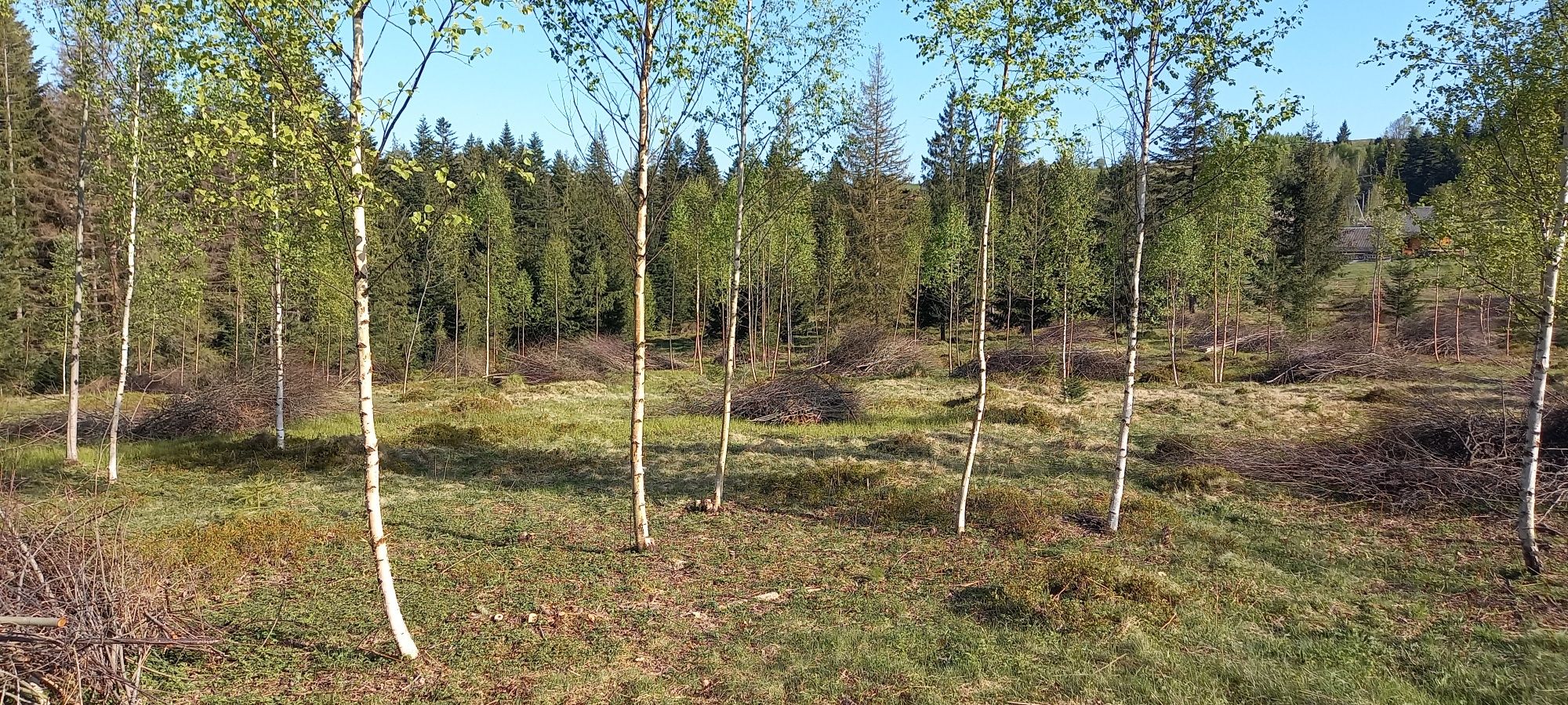 Власник. Продам земельну ділянку с.Микуличин