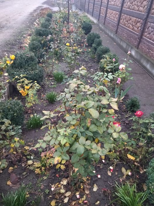 ПРОДАЖ БУДИНКУ в місті Нікополі