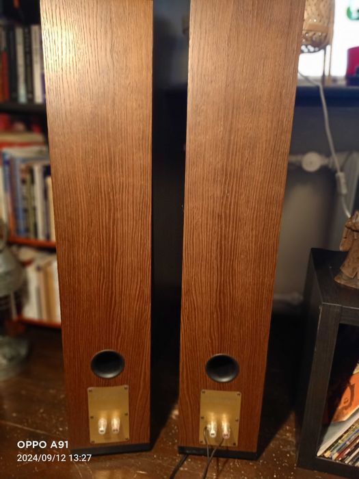 AudioSolutions Euphony 50 kolumny podłogowe