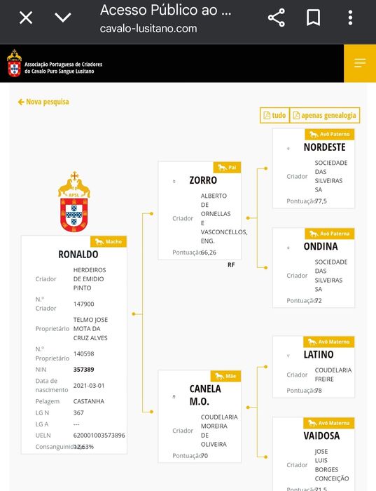 Vendo poldro 4 anos inteiro