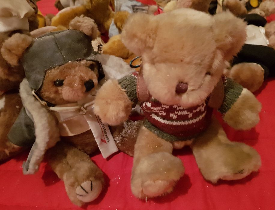 Ursos The Teddy Bear Collection