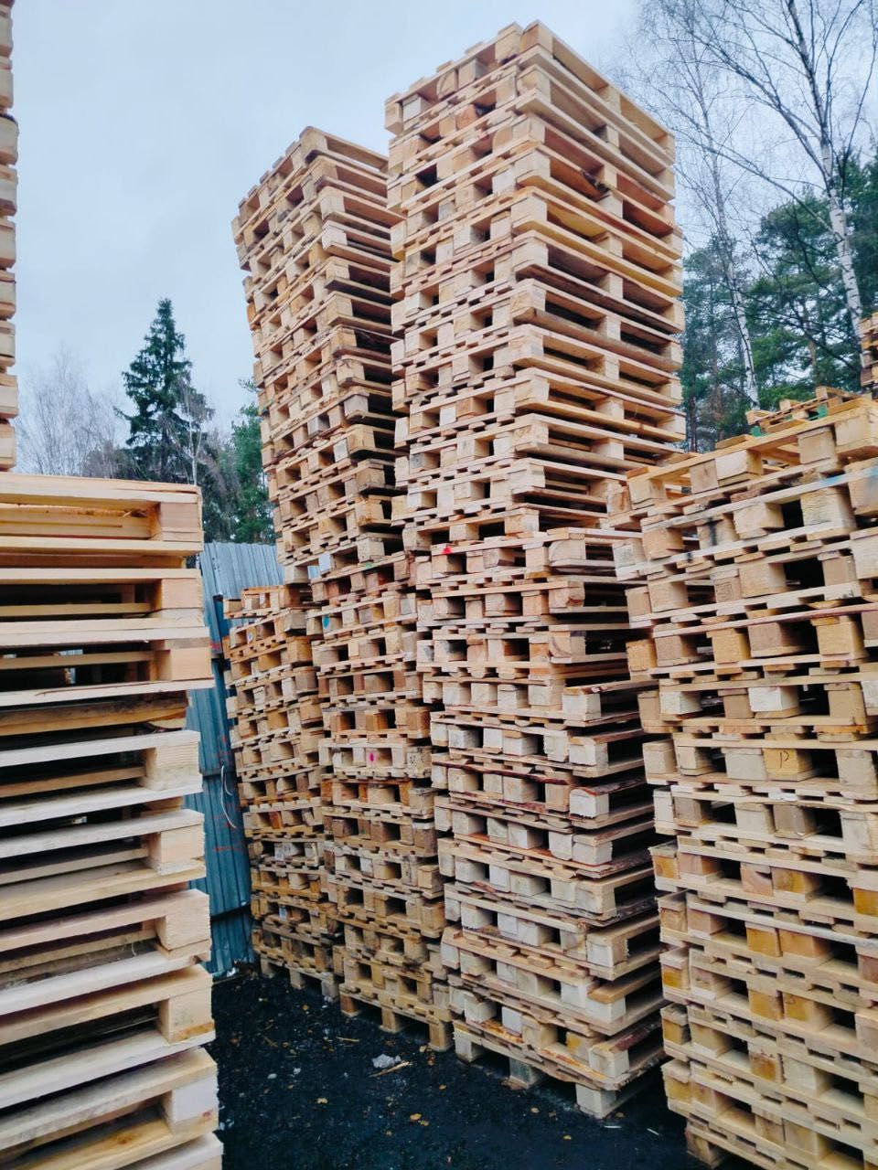 1200*800 піддони деревяні облегшені палети евро поддоны