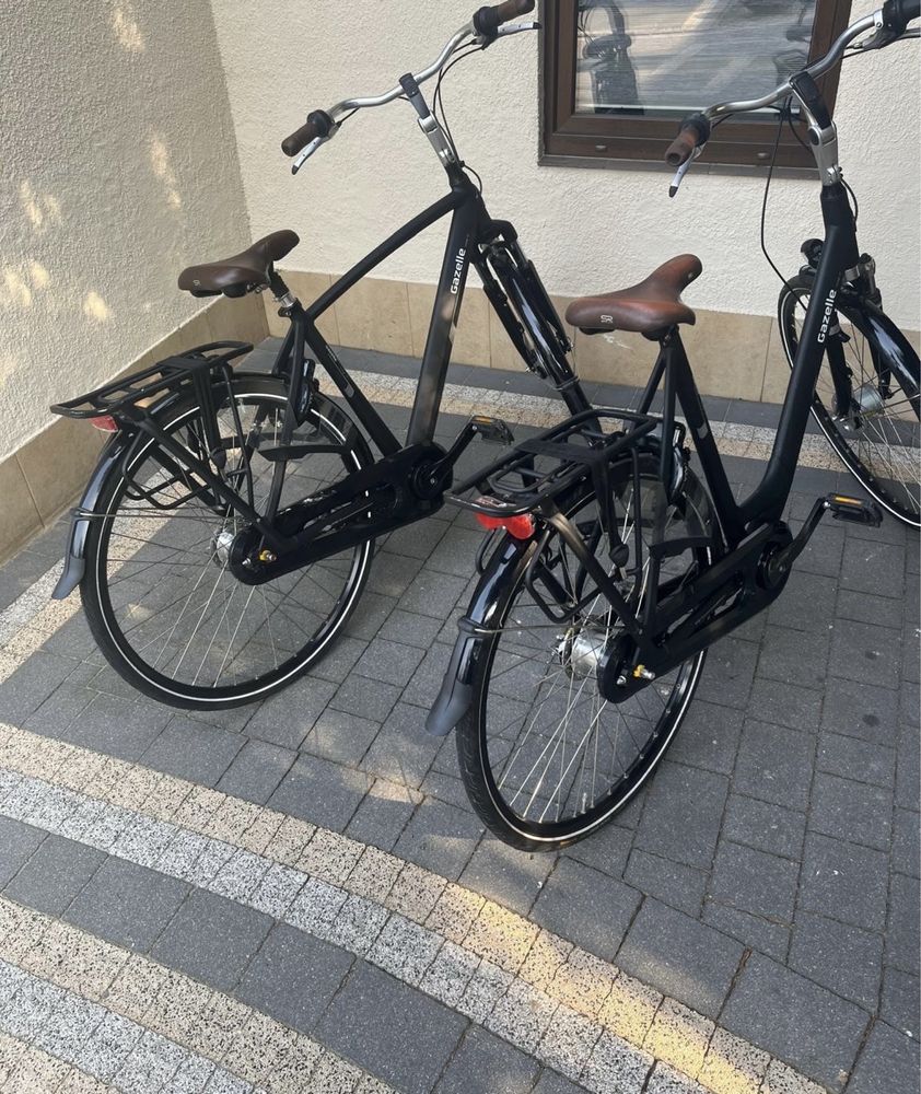Gazelle Orange C7+