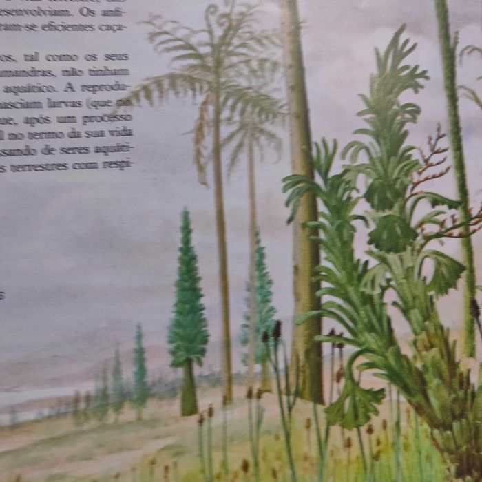 A nova história de Adão e Eva - Günter Haaf