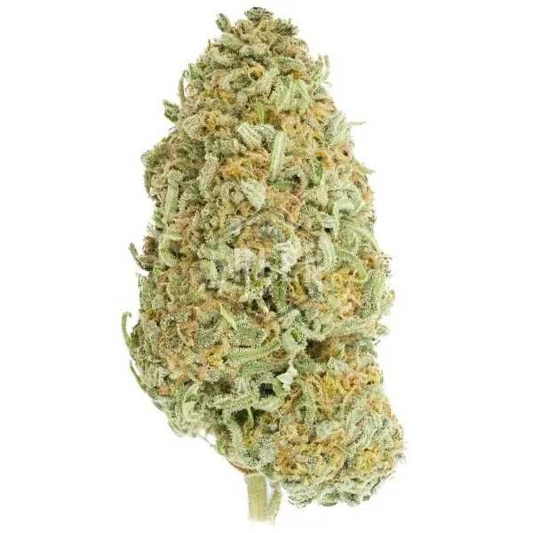 Big Bud Auto Nasiona marihuany 5szt !